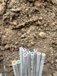 The Karigarshala Recycled Newspaper Coloured Plantable Pencil | Set of 10 - Image 3