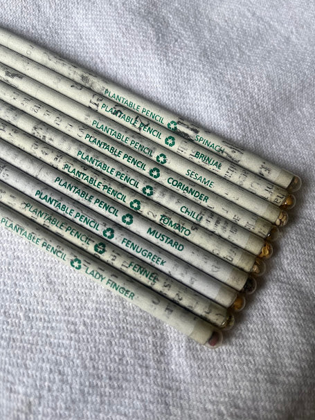 The Karigarshala Recycled Newspaper Coloured Plantable Pencil | Set of 10 - Image 1