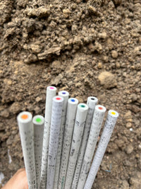The Karigarshala Recycled Newspaper Coloured Plantable Pencil | Set of 10 - Image 2